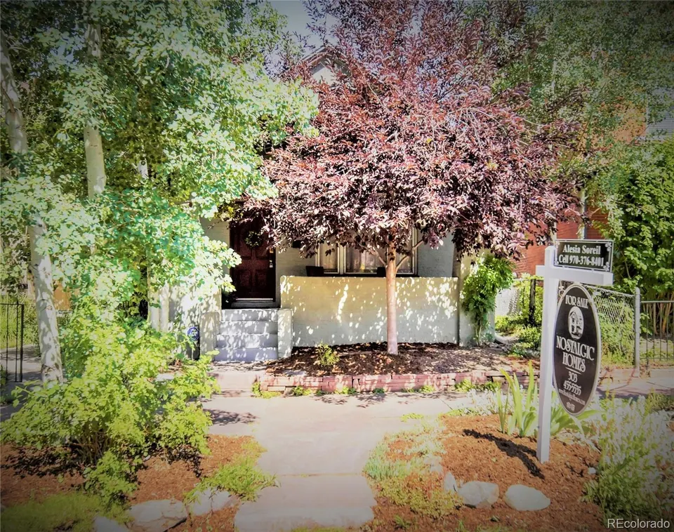 The 1886 bungalow behind a flowering tree