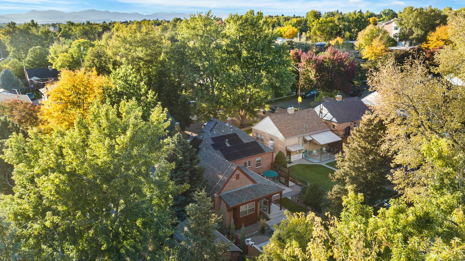 Aerial view of the tree canopy around the home