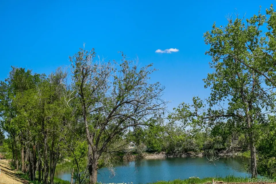Lake and cottonwoods at Clear Creek Valley Park