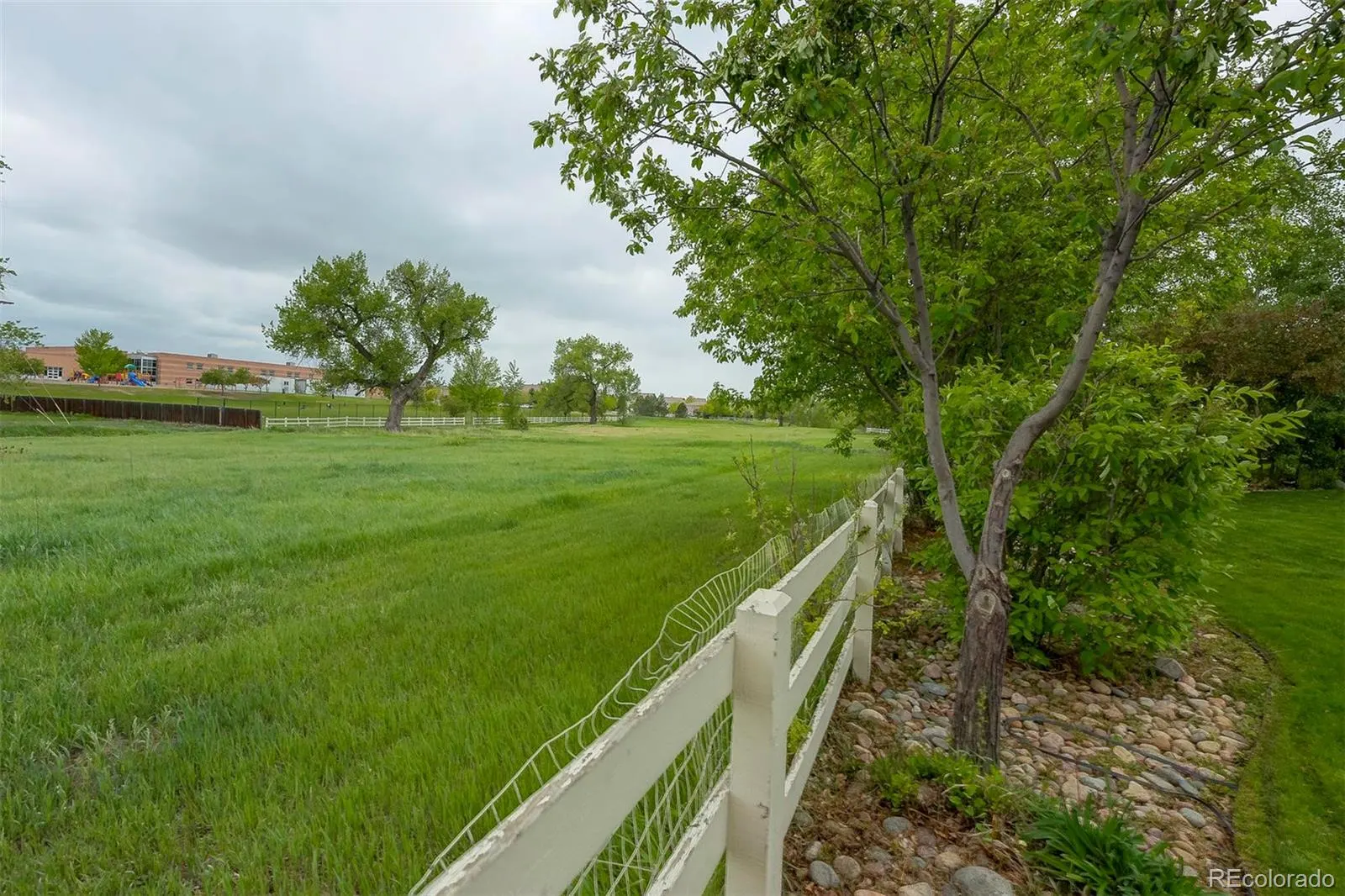 Open space behind the property