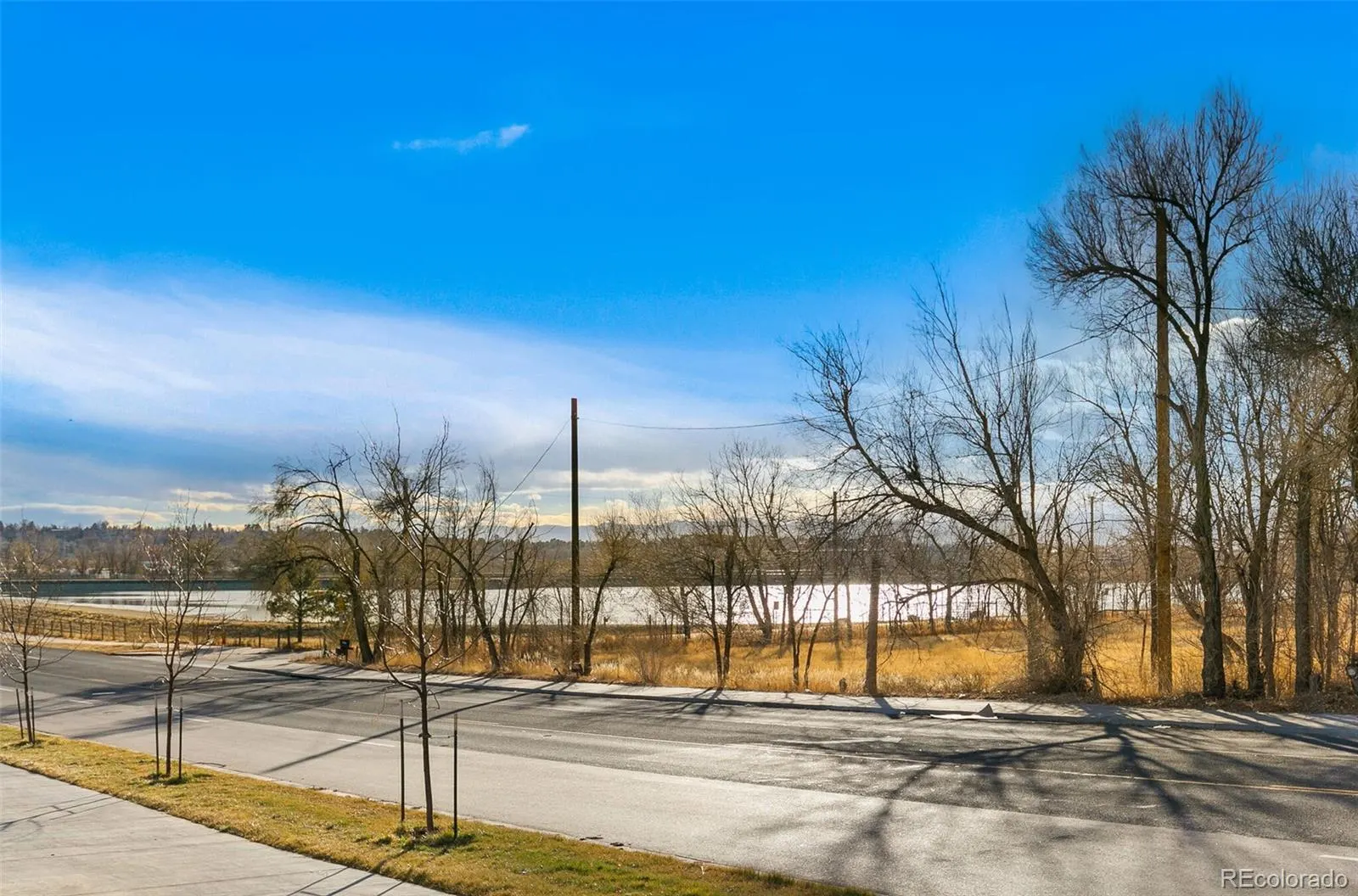 Open space and cottonwoods beside the community