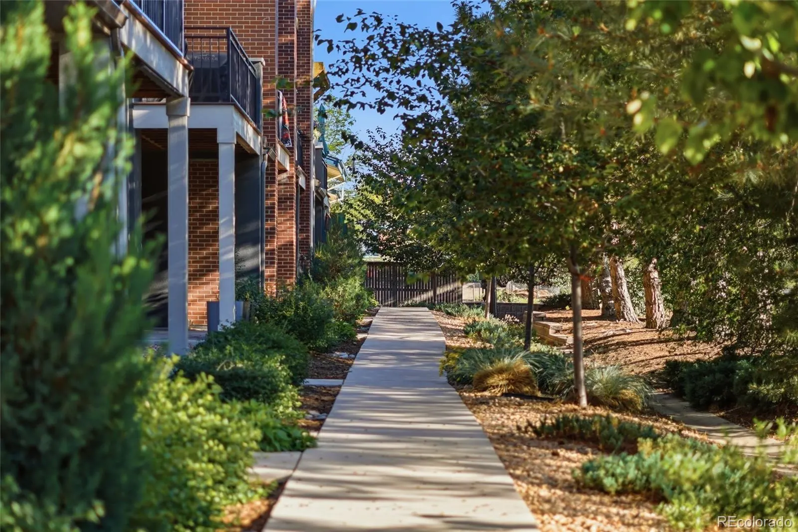 Tree-lined walkway through the Yarrow Gardens townhome community